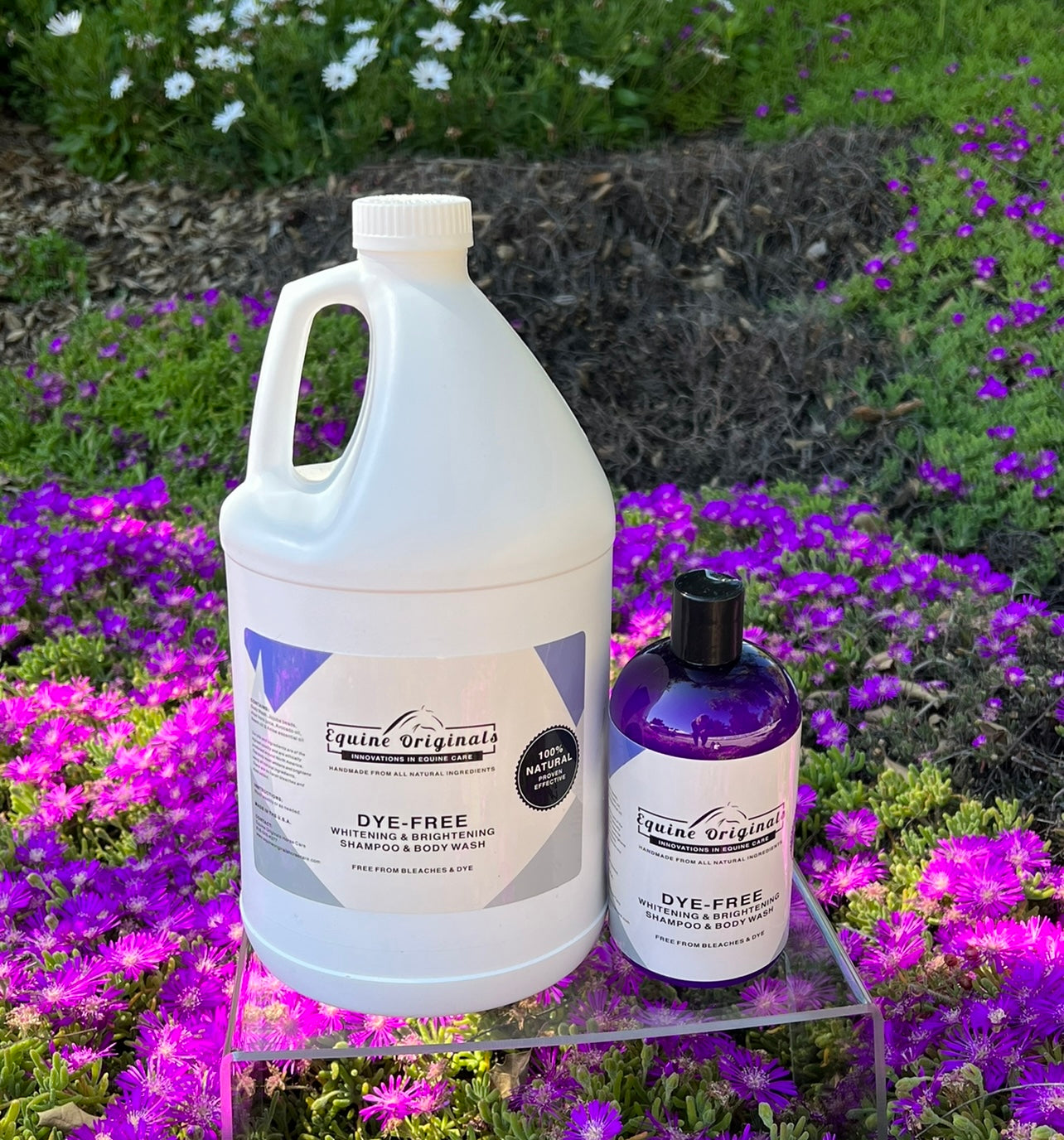 DYE-FREE - Whitening & Brightening Equine Shampoo $ Body Wash - Refill Gallon