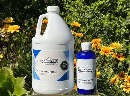 DERMA-FREE - Equine Body Wash - Refill Gallon